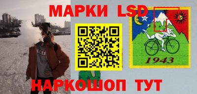 стаф Боровичи