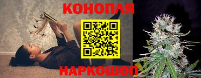 a pvp Братск