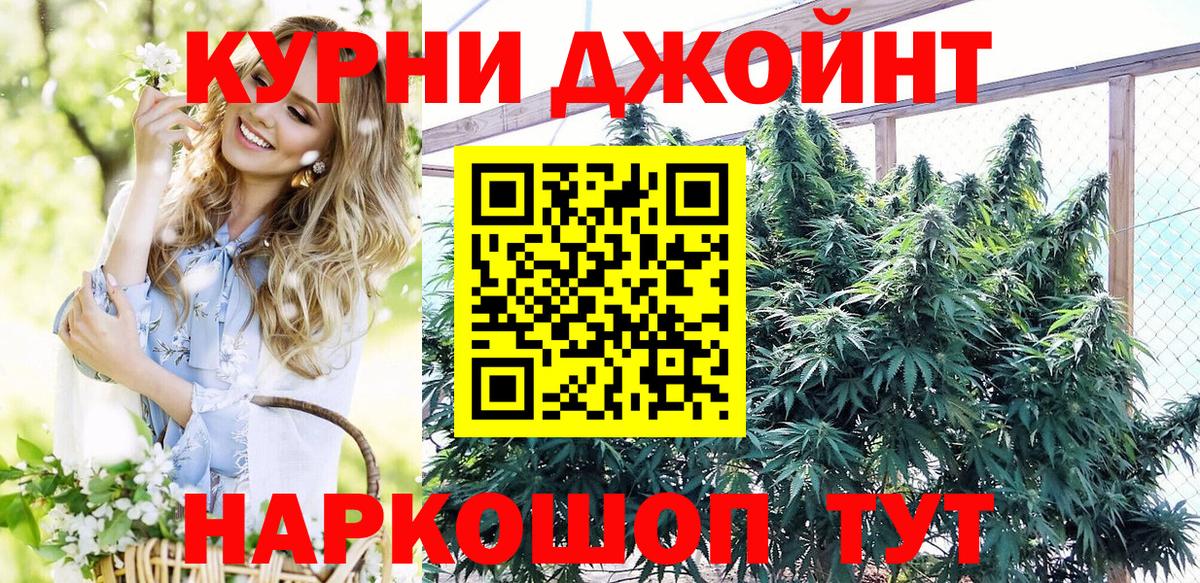 Канабис семена Аргун